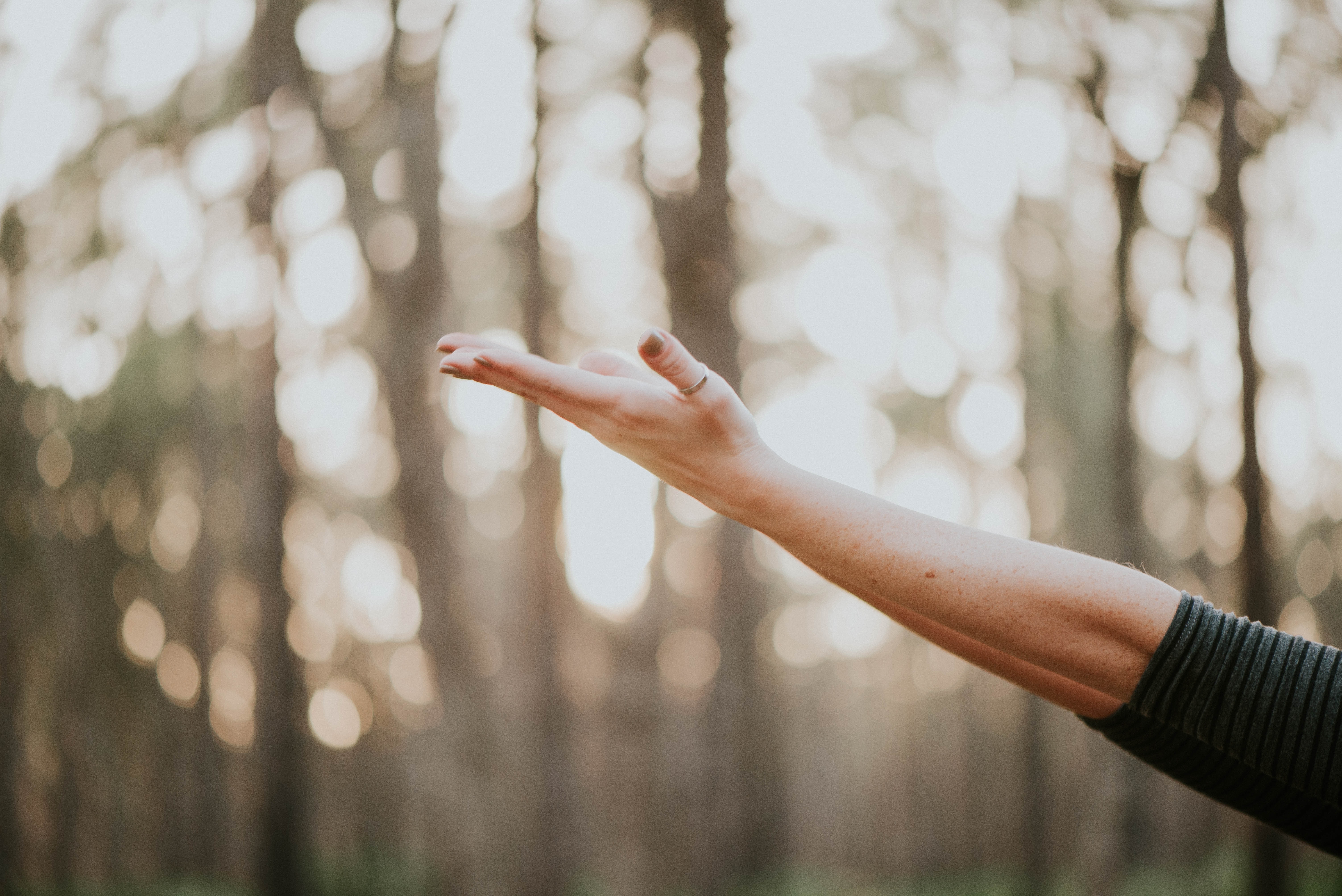 Qigong Classes